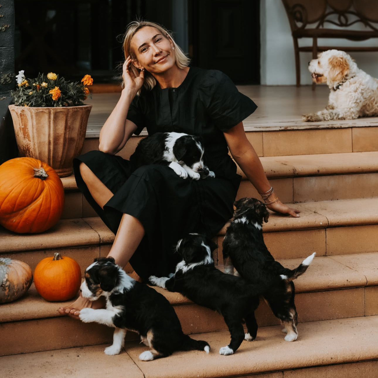 Woman with in a black dress with dogs on a staircase decorated with pumpkins and flowers